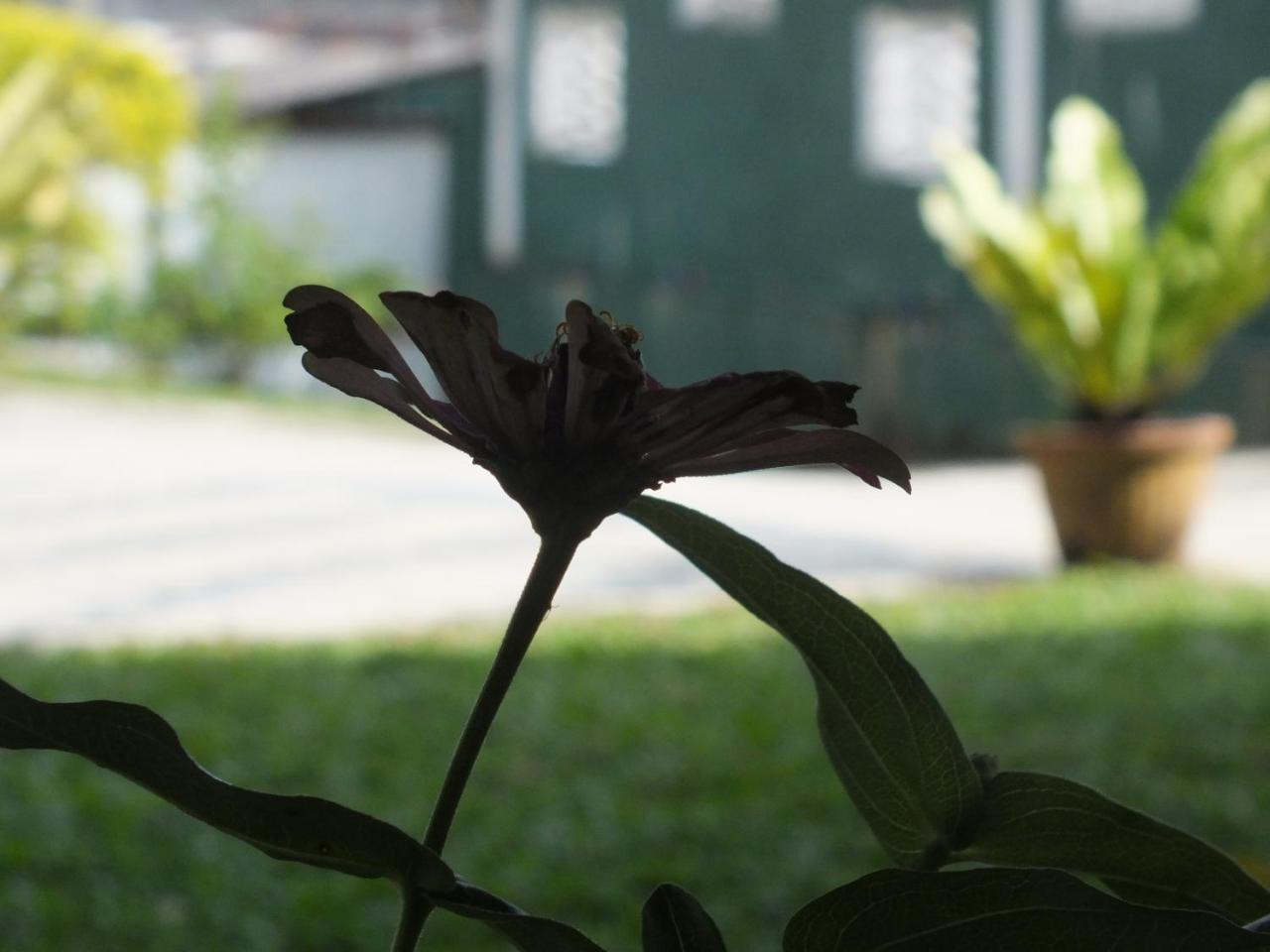 Hillsview Rest & Guest House ماتالي المظهر الخارجي الصورة